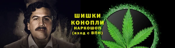 амф Семёнов