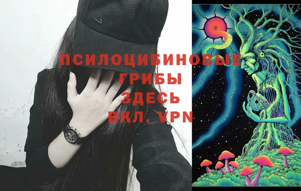 амф Семёнов