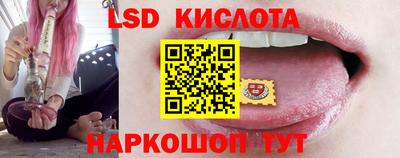 СК Сланцы