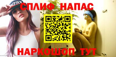 СК Сланцы