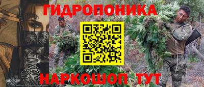 СК Сланцы