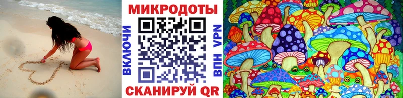 где можно купить наркотик  Тында  Псилоцибиновые грибы мицелий 
