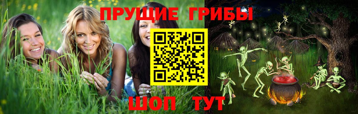 Тында  Галлюциногенные грибы Cubensis  Вход с VPN 