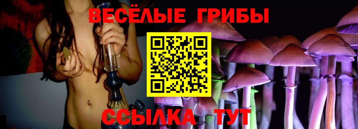 Псилоцибиновые грибы GOLDEN TEACHER Тында